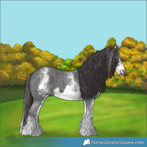 Horse Color:White Spotted Smoky Black Sabino Frame 