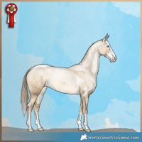 Horse Color:Smoky Grullo Pearl Sabino Brindle