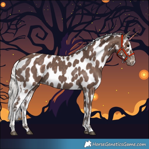 Horse Color:Silver Black Appaloosa 