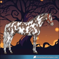 Horse Color:Silver Black Near Leopard 