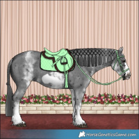 Horse Color:White Spotted Black Sabino Frame