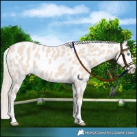 Horse Color:Smoky Creme Near Leopard