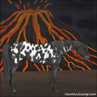 Horse Color:Black Near Leopard 