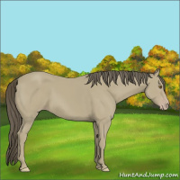 Horse Color:Classic Cream Champagne