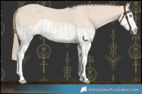 Horse Color:Smoky Creme Splash and Smoky Creme Splash