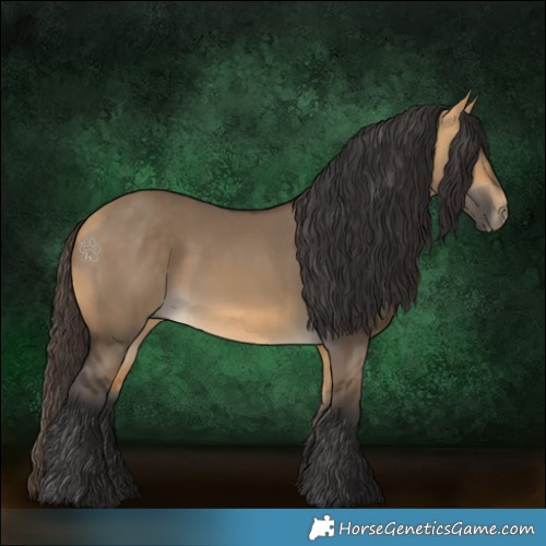 Horse Color:Buckskin Dun 