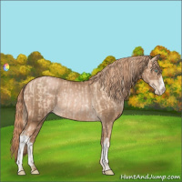 Horse Color:Gold Champagne Pearl Rabicano  and Liver Chestnut Pearl Rabicano 