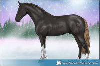 Horse Color:Liver Chestnut Tobiano