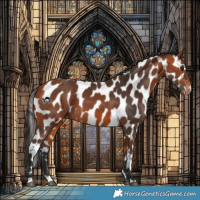 Horse Color:Bay Near Leopard 