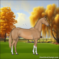 Horse Color:Chestnut Tobiano
