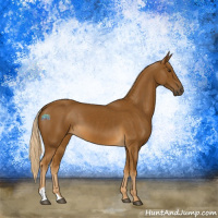 Horse Color:Chocolate Palomino 