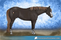 Horse Color:Liver Chestnut  and Liver Chestnut 