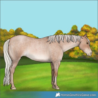 Horse Color:Silver Bay Roan Pearl Rabicano 