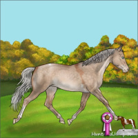 Horse Color:Silver Brown Pearl Dun Tobiano 