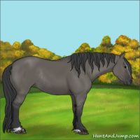 Horse Color:Grullo Sabino Rabicano 