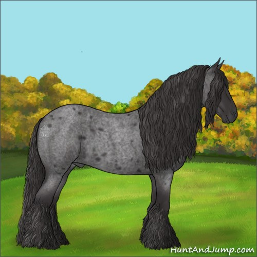 Horse Color:Smoky Blue Roan 
