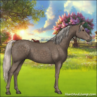 Horse Color:Silver Black 