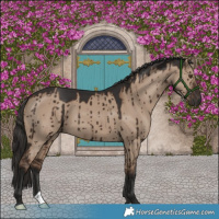 Horse Color:Liver Red Dun Brindle