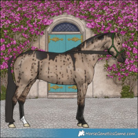 Horse Color:Liver Red Dun Brindle 