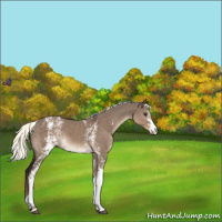 Horse Color:White Spotted Liver Red Dun Mushroom 