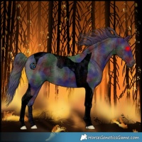 Horse Color:Void Nacre Smoky Black Tobiano 