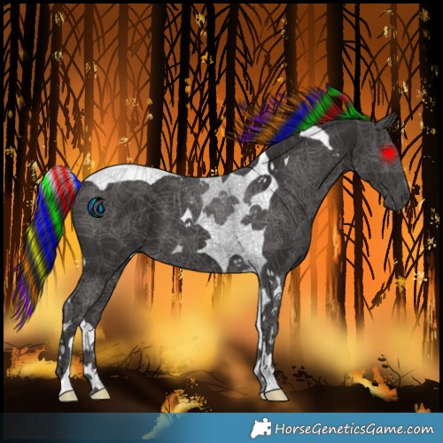 Horse Color:Painted Smoky Black Tobiano 