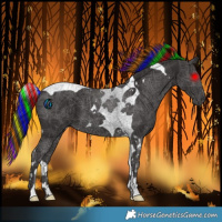 Horse Color:Painted Smoky Black Tobiano 