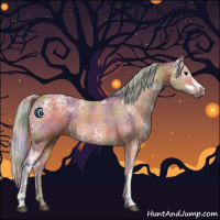 Horse Color:Nacre Silver Bay Ice