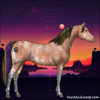Horse Color:Painted Bay Ice