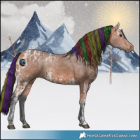 Horse Color:Painted Bay Ice 