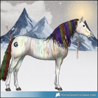 Horse Color:Painted Buckskin Ice Tobiano
