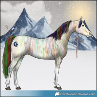 Horse Color:Painted Buckskin Ice Tobiano