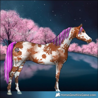 Horse Color:Painted White Spotted Silver Bay Splash 