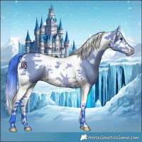 Horse Color:Watercolor Bay Splash Tobiano Rabicano 