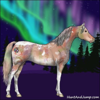 Horse Color:Nacre Silver Bay Ice Tobiano