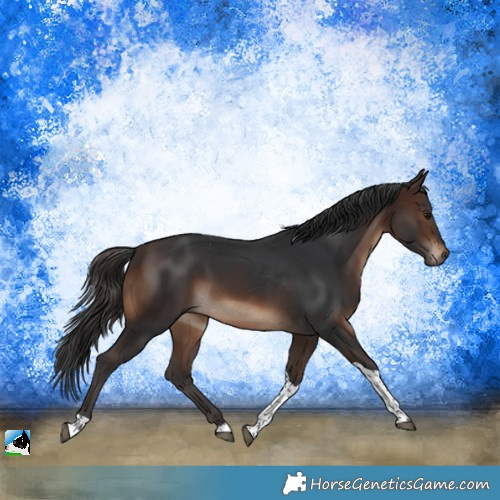 Horse Color:Brown Tobiano Rabicano
