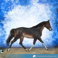 Horse Color:Brown Tobiano Rabicano