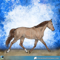 Horse Color:Red Dun and Liver Red Dun Rabicano