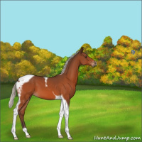 Horse Color:Silver Brown Tobiano 