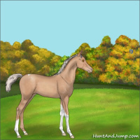 Horse Color:Silver Classic Champagne Tobiano 