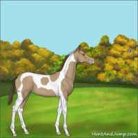 Horse Color:Classic Cream Champagne Tobiano 