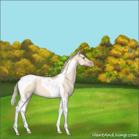Horse Color:Silver Classic Champagne Dun Tobiano 