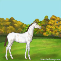 Horse Color:Sable Champagne Dun Tobiano Near Leopard