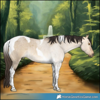 Horse Color:Buckskin Roan Dun Tobiano Rabicano 