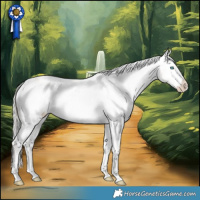 Horse Color:Silver Bay Roan Snowdrop Dun Sabino Varnish Rabicano 