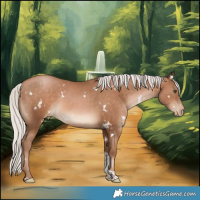 Horse Color:White Spotted Silver Brown Pearl Tobiano Rabicano