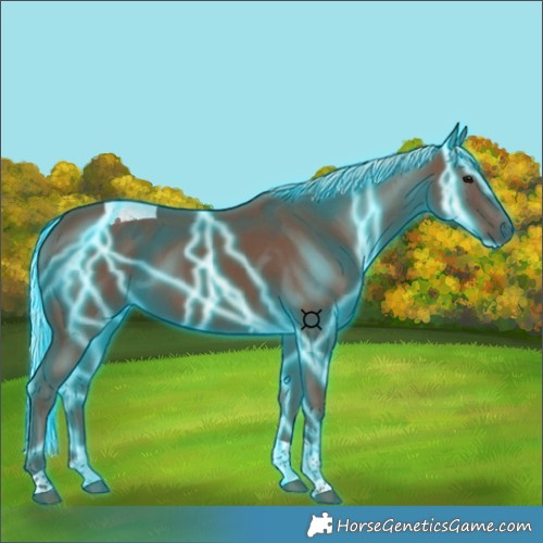 Horse Color:Thunderstruck Silver Black Tobiano 