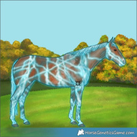 Horse Color:Thunderstruck Silver Bay Tobiano
