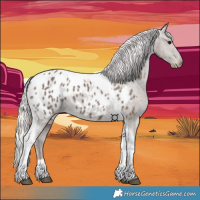 Horse Color:Silver Black Tobiano Near Leopard 