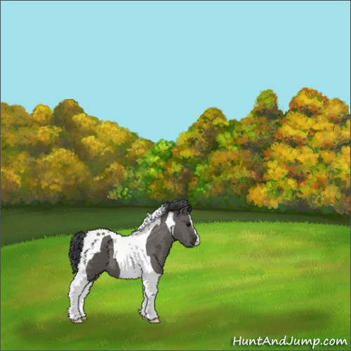 Horse Color:Grullo Tobiano 